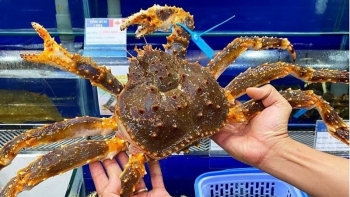 Cá hồi, cua hoàng đế và câu chuyện định vị hải sản cao cấp tại Việt Nam