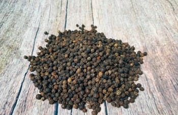 Giá tiêu hôm nay 10/11: Thị trường đi ngang, nông dân "găm hàng" chờ đợt phục hồi cuối năm