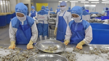 Doanh nghiệp thủy sản bùng nổ, xuất khẩu vượt 8,1 triệu tấn