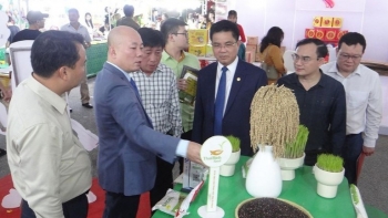 Hội chợ Đồng bằng Bắc Bộ 2025: "Sân khấu lớn" cho sản phẩm OCOP và đặc sản vùng miền