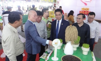 Hội chợ Đồng bằng Bắc Bộ 2025: "Sân khấu lớn" cho sản phẩm OCOP và đặc sản vùng miền