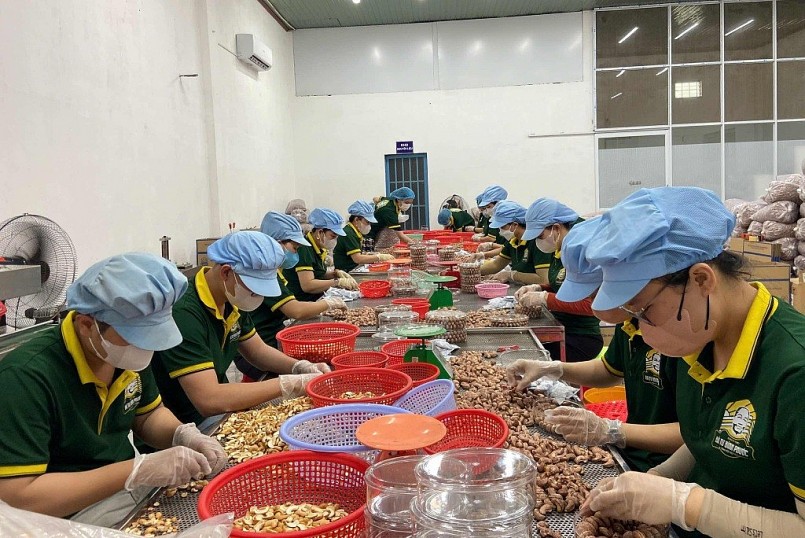 Xuất khẩu nông sản Việt Nam 2025: Thành tựu nổi bật và triển vọng lạc quan