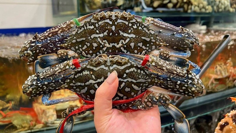 Xuất khẩu ghẹ Việt Nam sang Mỹ tạm thời chưa bị cấm xuất khẩu theo đạo luật bảo vệ thú biển của Mỹ