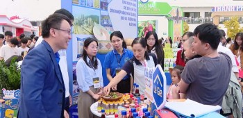 Thanh Hóa: Từ OCOP đến thương hiệu lan tỏa giá trị Việt, nâng tầm nông sản xứ Thanh trên bản đồ thế giới