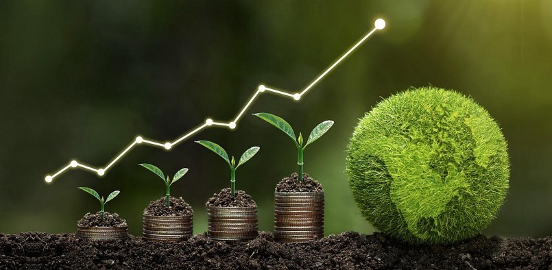 Sau 80 năm phát triển, ngành trồng trọt Việt Nam đã đi từ