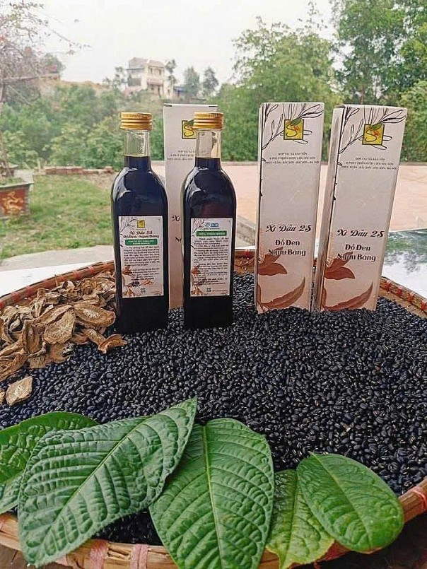 Xì dầu 2S: Đột phá từ đậu đen xanh lòng và rễ ngưu bàng, khẳng định giá trị dược liệu trong thực phẩm Việt