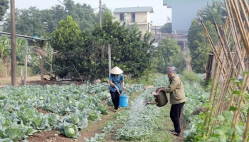 Nghị định 98 sửa đổi: "Xanh hóa" và "số hóa" chuỗi giá trị là điều kiện để nông sản hội nhập