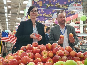 Nông sản Việt vươn mình: Cơ hội vàng tại thị trường Mỹ