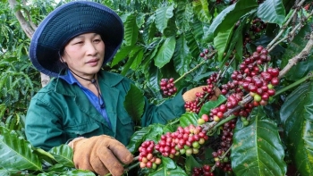 Việt Nam nhập khẩu nông sản nhiều: Cảnh báo hay cơ hội?