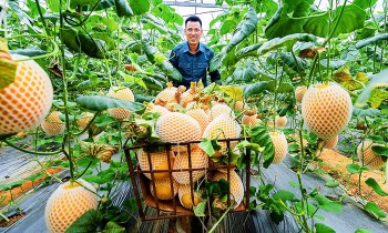 Bắc Ninh: Vốn, tri thức và công nghệ – “chìa khóa” giúp sinh kế hộ nghèo bền vững