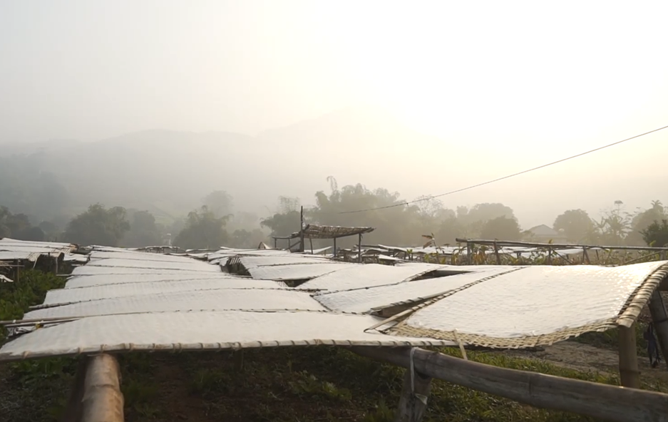 Từ bếp lửa bản làng đến thương hiệu OCOP: Khi sản vật vùng cao kể chuyện