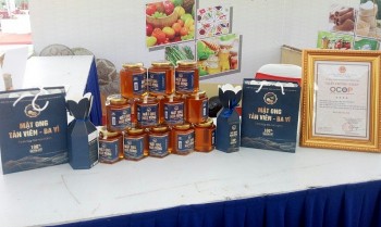 Từ bếp lửa bản làng đến thương hiệu OCOP: Khi sản vật vùng cao kể chuyện