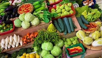 Giá rau xanh lập đỉnh mới