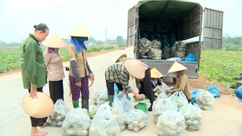 Thu nhập kép từ bí đỏ: Bán cả hoa, ngọn và quả, thương lái "cân tại bờ"