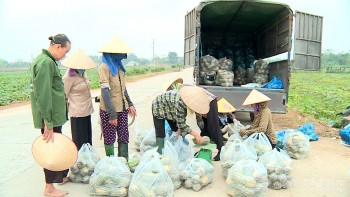 Thu nhập kép từ bí đỏ: Bán cả hoa, ngọn và quả, thương lái "cân tại bờ"