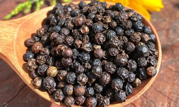 Giá tiêu hôm nay 20/11: Ổn định ở mức cao, kỳ vọng lớn vào nhu cầu xuất khẩu