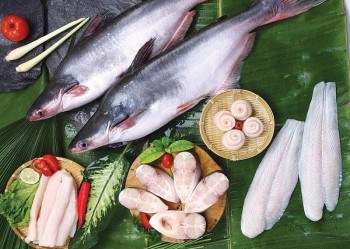 Loại cá "vàng trắng" Việt Nam chinh phục siêu thị Mỹ, Trung