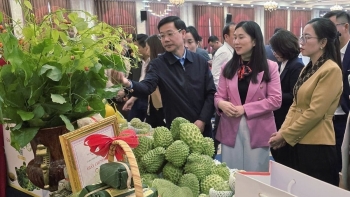 Đưa nông sản lên “chợ mạng” và sàn quốc tế: Chiến lược kép giúp OCOP Lạng Sơn chinh phục thị trường