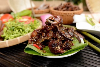 Về miền Tây thưởng thức loài vật giống cua đồng: Làm mắm đậm đà, ăn một lần là ghiền