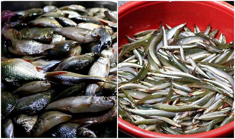 Độc đáo phiên chợ ma Tha La trong mùa nước nổi ở An Giang Độc đáo phiên chợ ma Tha La trong mùa nước nổi ở An Giang