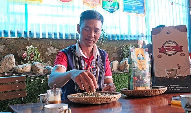 Nông dân Lâm Đồng trồng loại cà phê gì mà bán tới 300.000 đồng/kg, đạt chuẩn OCOP 3 sao?