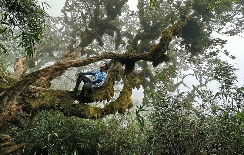 Điều gì khiến Việt Nam trở thành 1 trong 5 nơi lý tưởng nhất thế giới để "phượt" một mình? Điều gì khiến Việt Nam trở thành 1 trong 5 nơi lý tưởng nhất thế giới để "phượt" một mình?