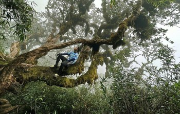 Điều gì khiến Việt Nam trở thành 1 trong 5 nơi lý tưởng nhất thế giới để "phượt" một mình?