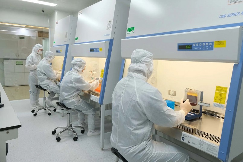 Ngân hàng Mô - Trung tâm Tế bào gốc của BV Phụ sản Hà Nội triển khai lưu trữ nhiều dòng tế bào: máu, gốc cuống rốn, trung mô, mô mỡ, góp phần điều trị các bệnh lý phức hiện tại và tương lai...