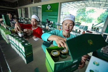 Diễn đàn Kinh tế hợp tác 2025: Hiện thực hóa "cầu nối" chiến lược đưa hợp tác xã vào chuỗi giá trị