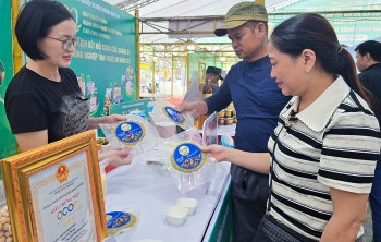 Từ "món ăn nhà nghèo" đến OCOP 3 sao: Bí quyết giúp đặc sản Nghệ An ra mẻ nào hết mẻ đó