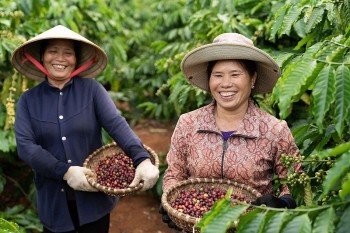 Từ "Xanh hóa" đến Tấm hộ chiếu thị trường: Con đường bứt phá giúp hàng Việt vươn lên