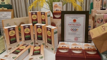 Từ không lãi đến "cú đúp" OCOP 5 Sao: Hành trình ngược dòng của gạo sạch Toản Xuân