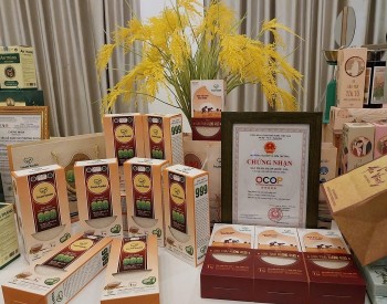 Từ không lãi đến "cú đúp" OCOP 5 Sao: Hành trình ngược dòng của gạo sạch Toản Xuân