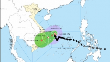 Bão số 15 suy yếu gần bờ: Miền Trung vẫn đối mặt nguy cơ mưa lớn
