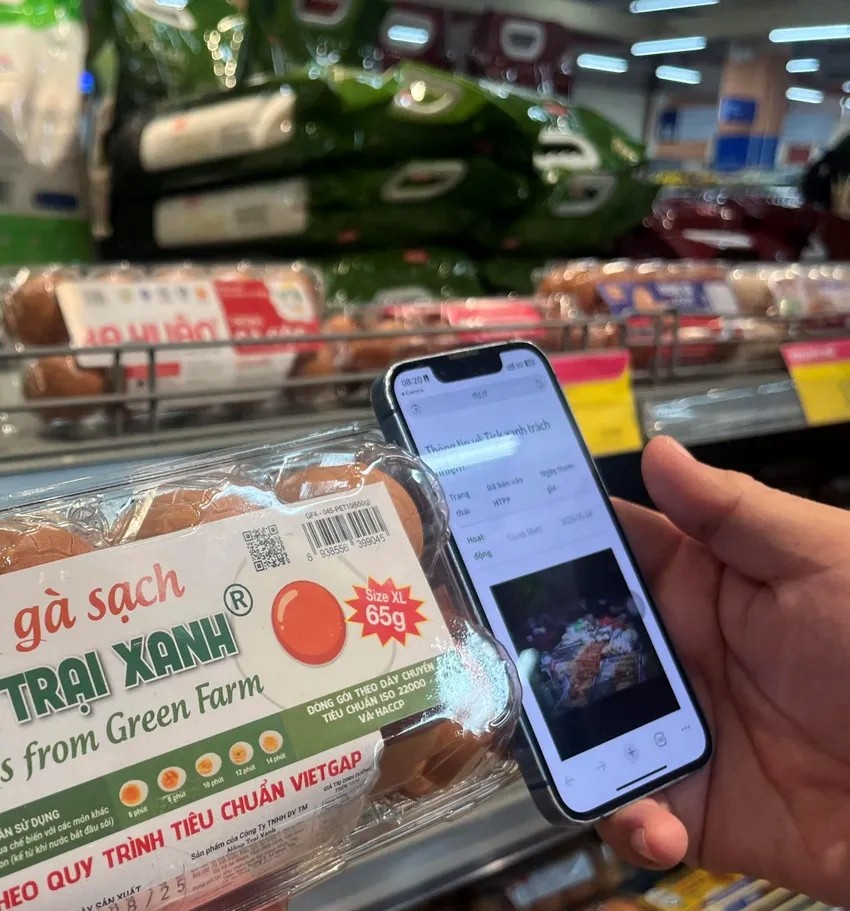 Người tiêu dùng truy xuất thông tin nguồn gốc sản phẩm tick xanh trách nhiệm. Ảnh: TÚ UYÊN Người tiêu dùng truy xuất thông tin nguồn gốc sản phẩm tick xanh trách nhiệm. Ảnh: TÚ UYÊN