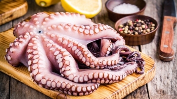 Xuất khẩu mực, bạch tuộc kỳ vọng bứt tốc trong quý IV/2025