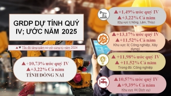 Đồng Nai bứt phá mạnh mẽ, GRDP năm 2025 vượt mục tiêu, khẳng định vai trò đầu tàu kinh tế của vùng và cả nước