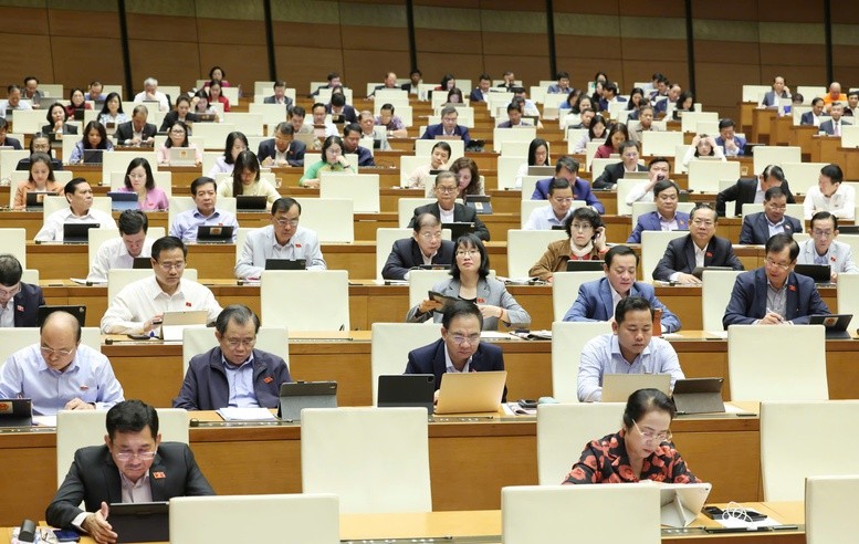 Các đại biểu tham dự phiên họp - Ảnh: VGP