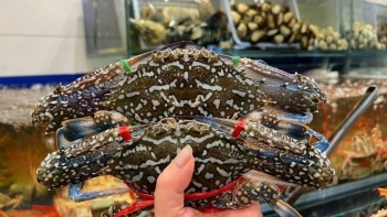 Ghẹ Việt Nam hóa "Vàng" ở thị trường cao cấp, mang về thành quả 71 triệu USD đầy ấn tượng