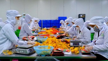 Đẩy mạnh chế biến sâu: Hướng đi nâng tầm thương hiệu nông sản Việt