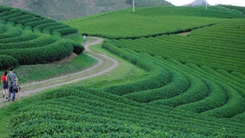 Việt Nam lần thứ 6 được bình chọn là Điểm đến Di sản hàng đầu thế giới