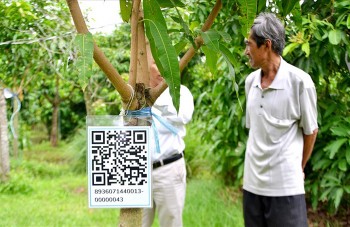 Mua may bán đắt nhờ "sân chơi số": Bí quyết thành công của hợp tác xã