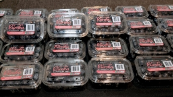 Việt quất Australia chính thức vào Việt Nam, thúc đẩy hợp tác nông nghiệp song phương