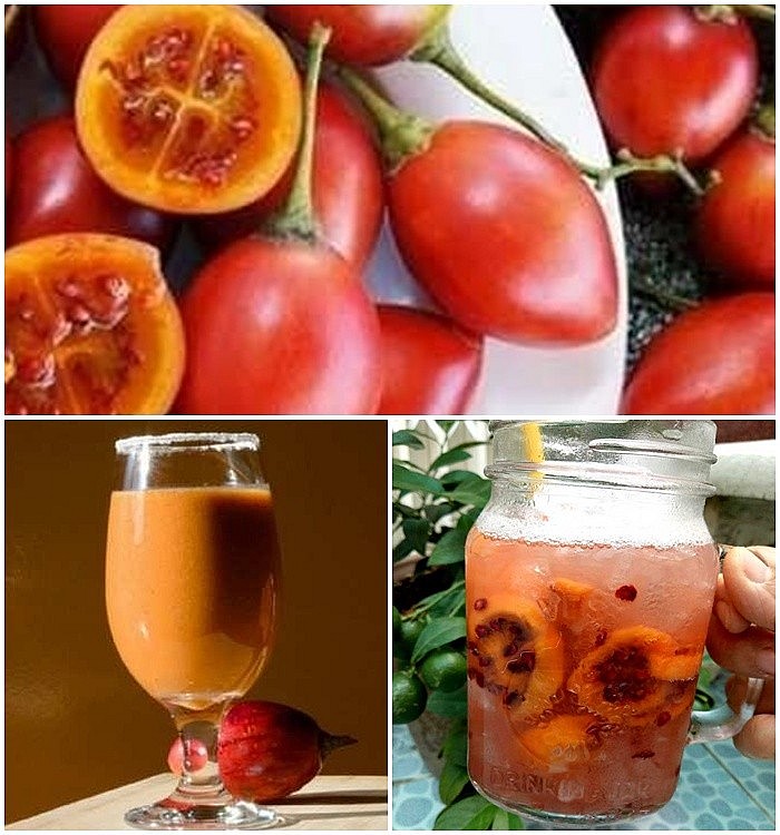 Loại quả từng có giá đắt bậc nhất thế giới nay phủ sóng vườn Việt Loại quả từng có giá đắt bậc nhất thế giới nay phủ sóng vườn Việt