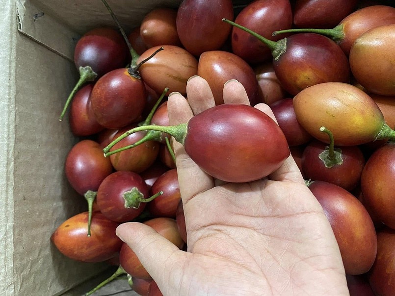 Loại quả từng có giá đắt bậc nhất thế giới nay phủ sóng vườn Việt Loại quả từng có giá đắt bậc nhất thế giới nay phủ sóng vườn Việt