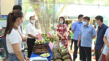 Hà Giang đẩy mạnh hỗ trợ quảng bá và tiêu thụ các sản phẩm OCOP