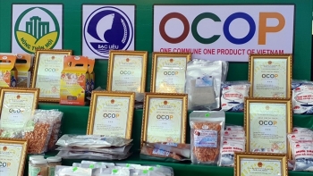 Chương trình OCOP hướng tới phát triển kinh tế nông thôn