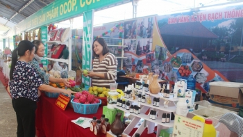 Thế nào là một chu trình OCOP thường niên?