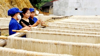 Chương trình OCOP tạo cơ hội khởi nghiệp cho phụ nữ tại các vùng nông thôn