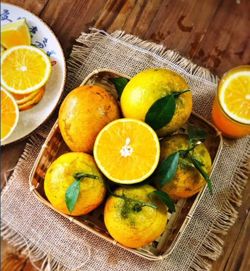 Sản phẩm Cam Cao Phong đạt chuẩn VietGAP Hòa Bình Sản phẩm Cam Cao Phong đạt chuẩn VietGAP Hòa Bình